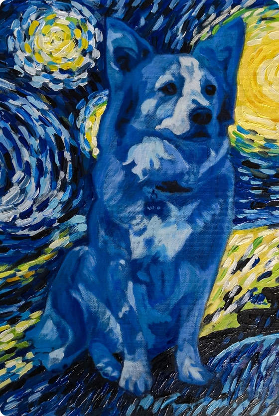 Dog painted in Van Gogh style