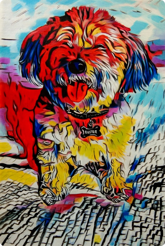 Pet painted in abstract style