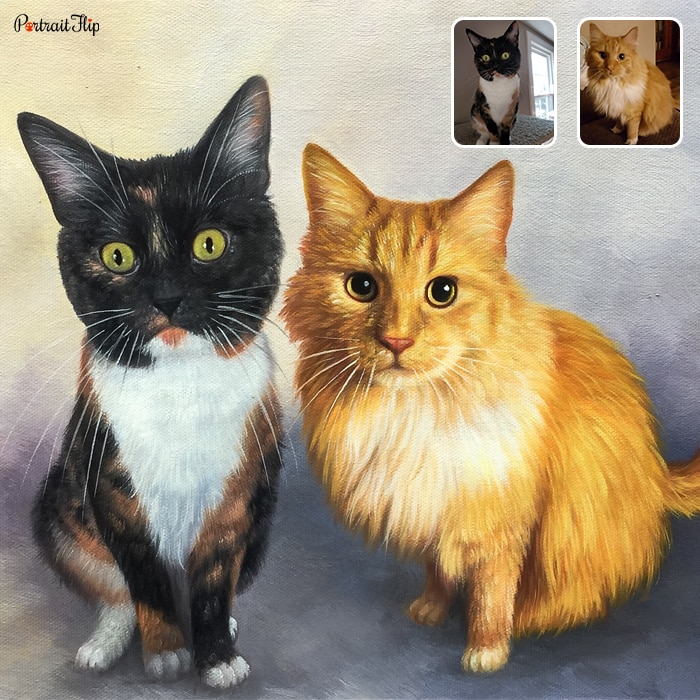 Compilation cat portrait merging multiple photos into one painting