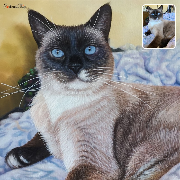 Oil cat portraits of a cat sitting on a bed