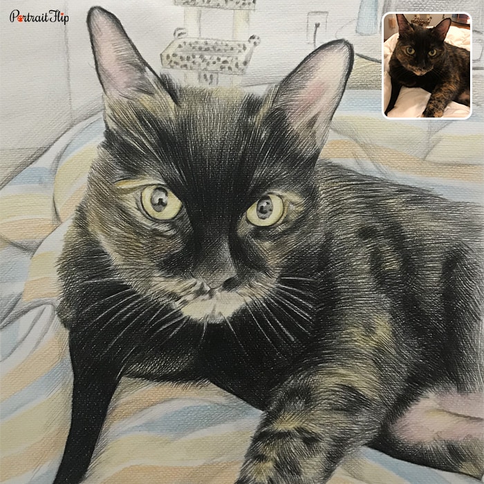 Picture of a cat sitting on a animal print couch which is converted into cat portraits