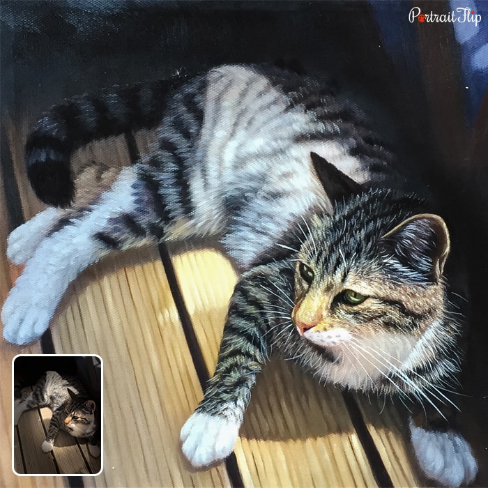 Cat portraits where the cat is in a sitting position on a wooden board
