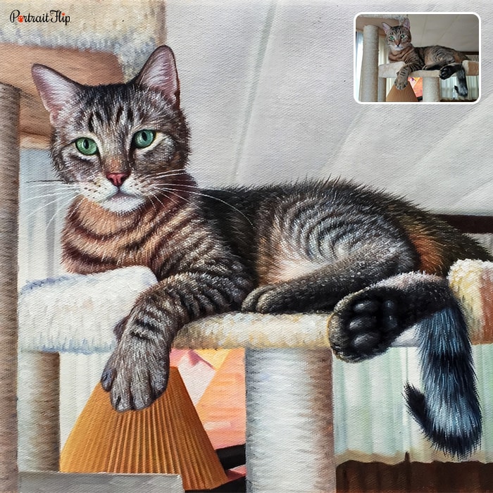 Picture of a cat sitting on cattery is converted into cat portraits