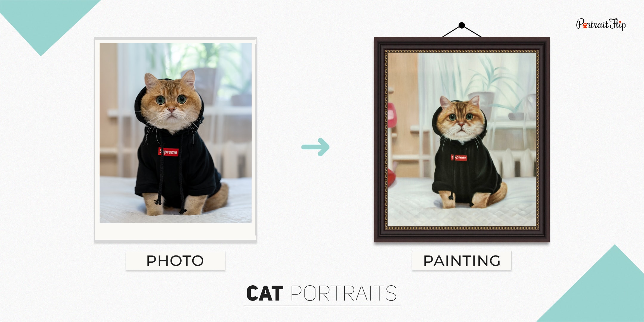 Photo of a cat wearing a supreme hoodie, which is converted into cat portraits