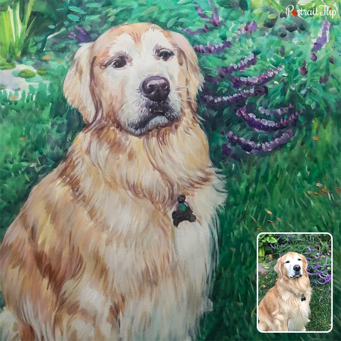 Dog portraits of a dog sitting in a green background