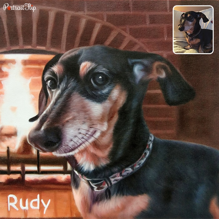 Picture of a dachshund dog which is converted into dog portraits