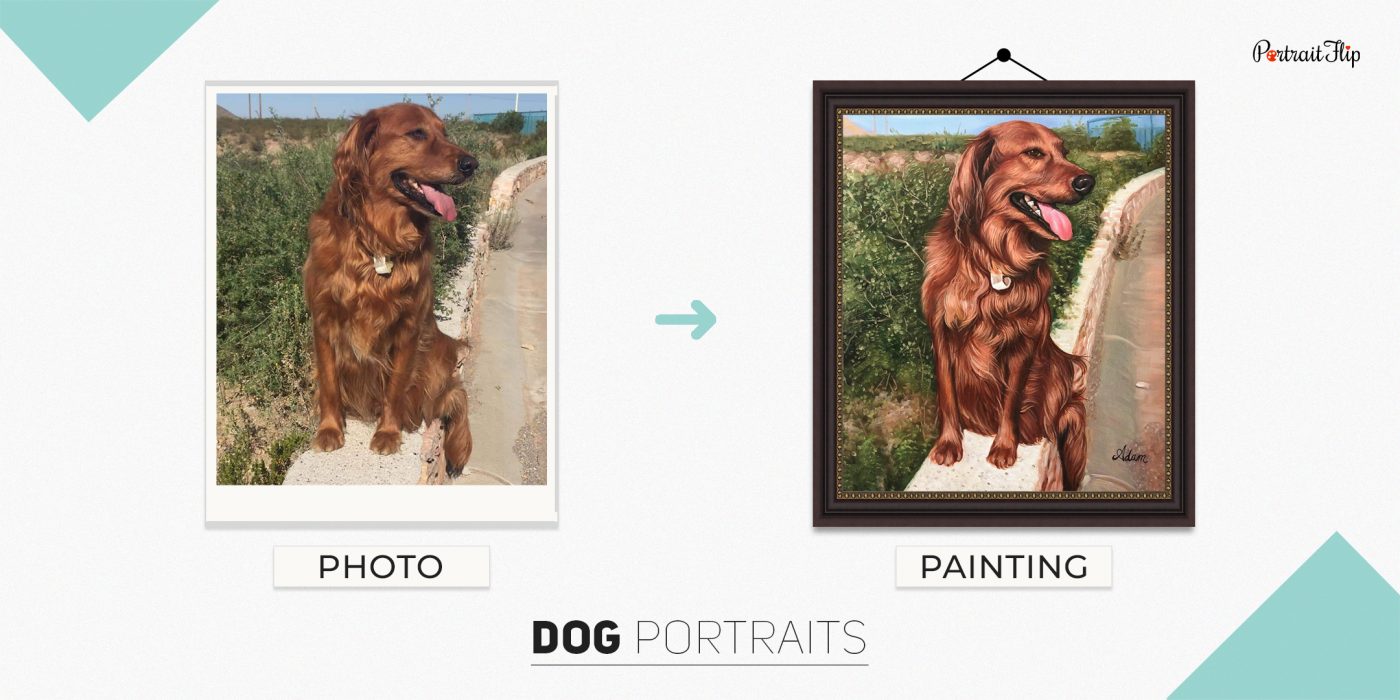 Photo of a golden retriever sitting on a side fence of the road which is converted into dog portraits