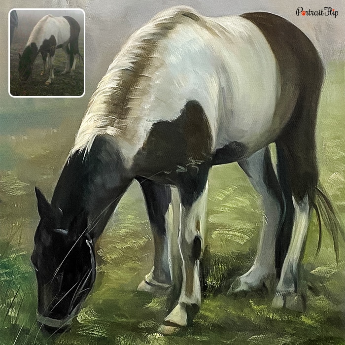 Horse Portraits of a horse who is eating grass