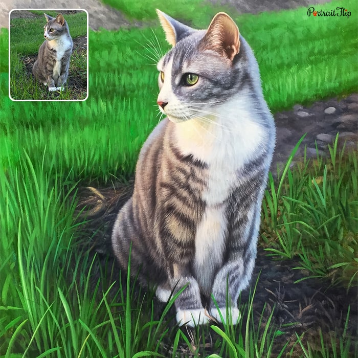 Pet portraits where a cat is sitting surrounded by grasses