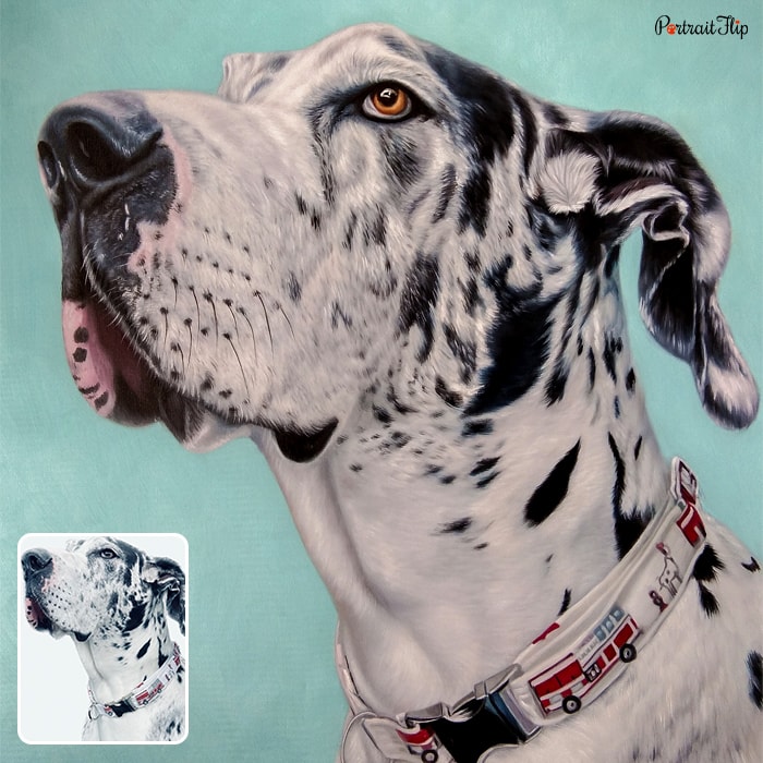 Oil pet portraits of a dog with his head slightly in a higher position