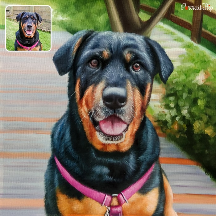 Picture of a dog's face that is converted into pet portraits