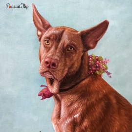 Dog Portraits