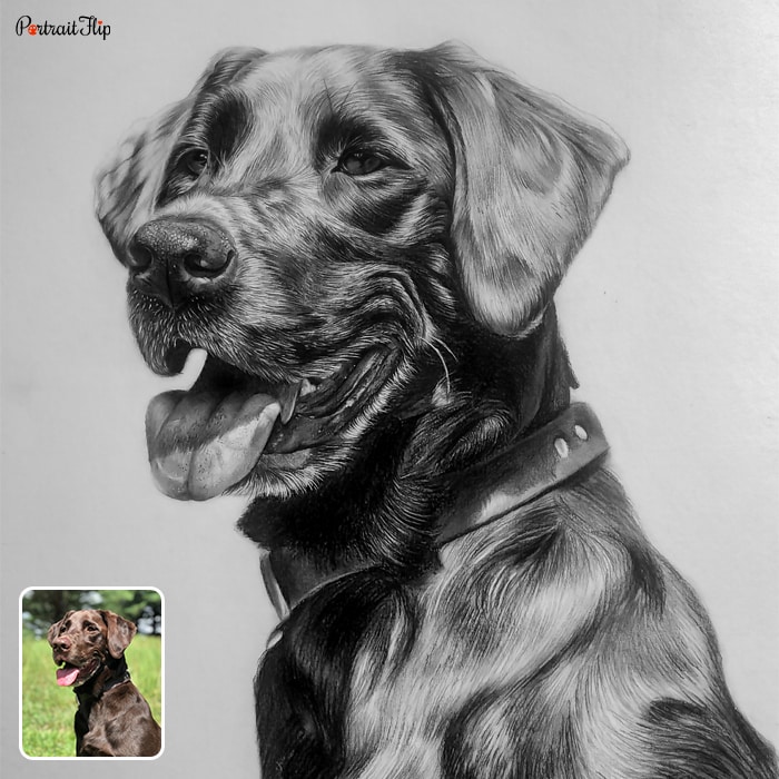 Photo to dog portraits of a labrador retriever