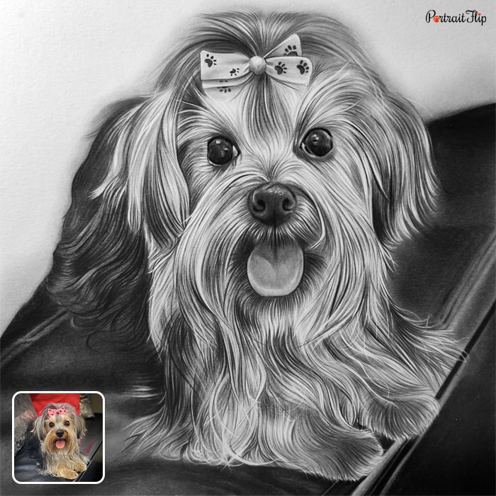 Black and white picture of a dog that is converted into charcoal drawings