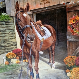 Horse Portraits