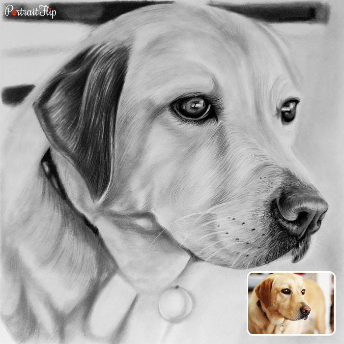 Memorial pencil portrait