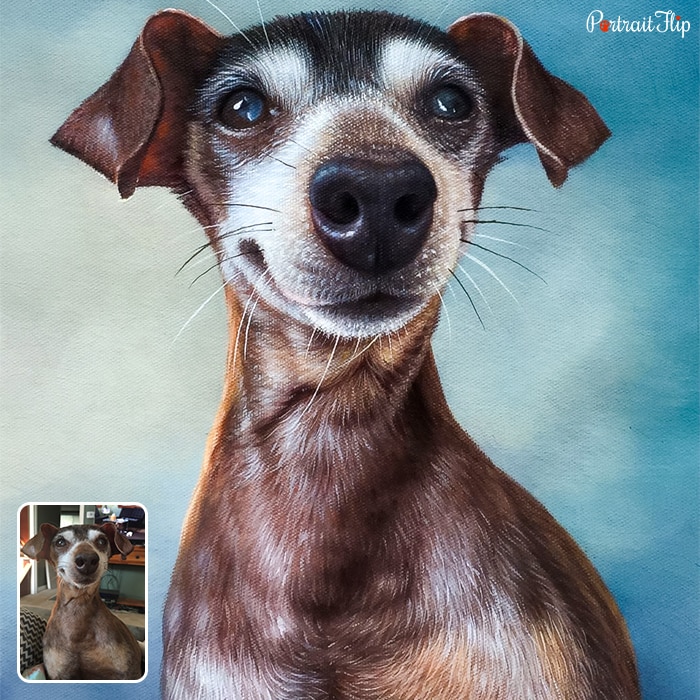 Memorial portraits of a close-up dog’s face standing in a blue background