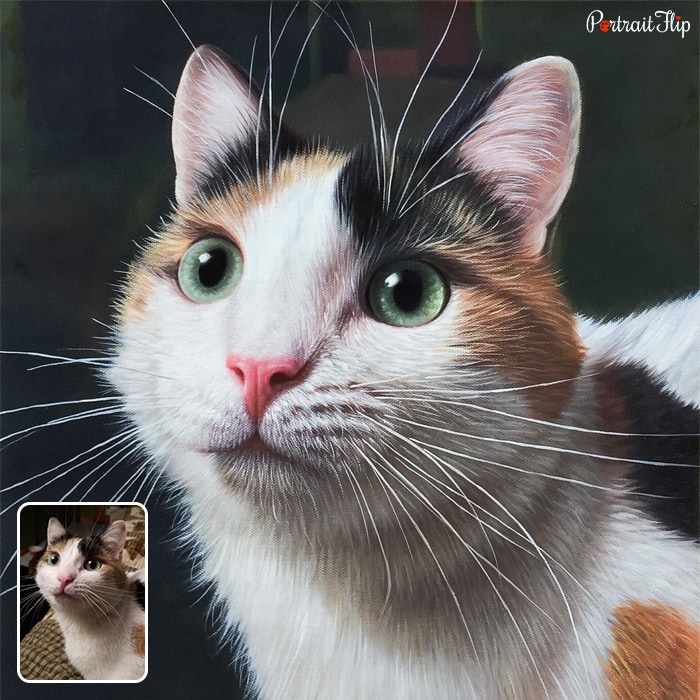 Close-up picture of a cat’s face which is converted into oil paintings