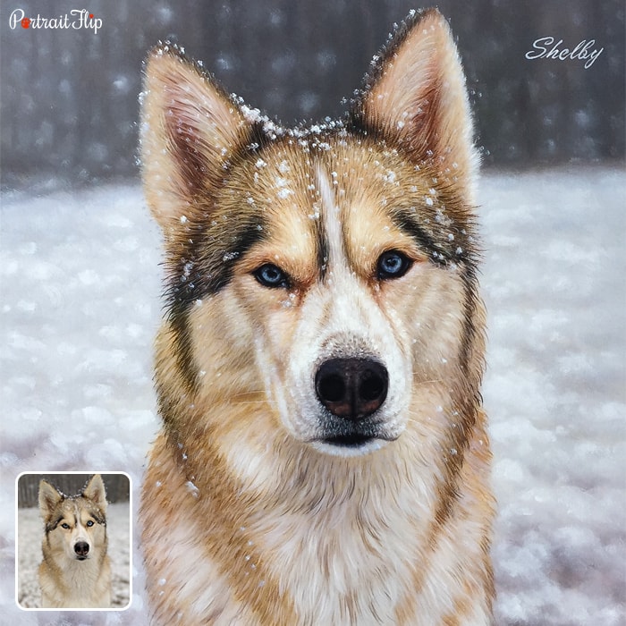 Close-up picture of a husky’s face in a snow background that is converted into oil paintings
