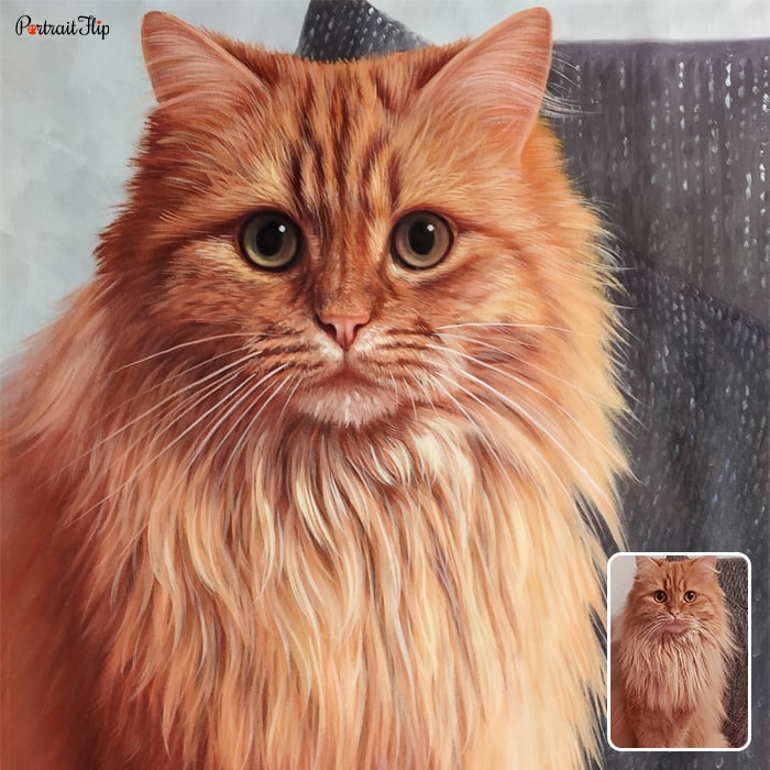 Close-up picture of a cat that is converted into oil paintings