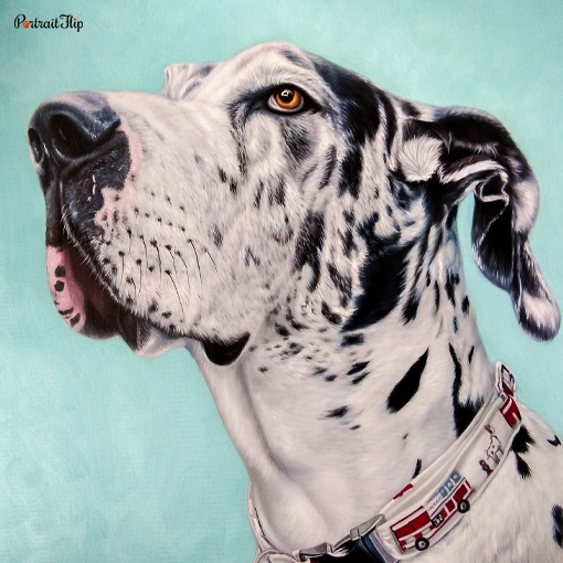 Pet Oil Portraits