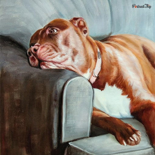 Pet Pastel Portraits