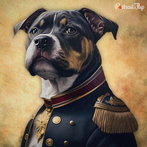 The General