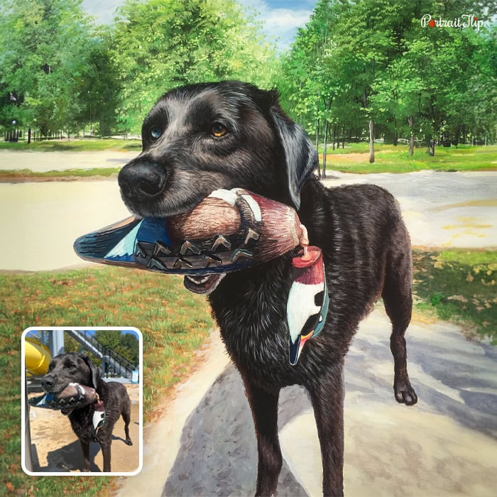 dog with toy pastel artwork
