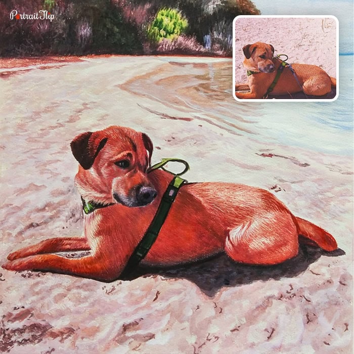 pet on beach watercolor painting