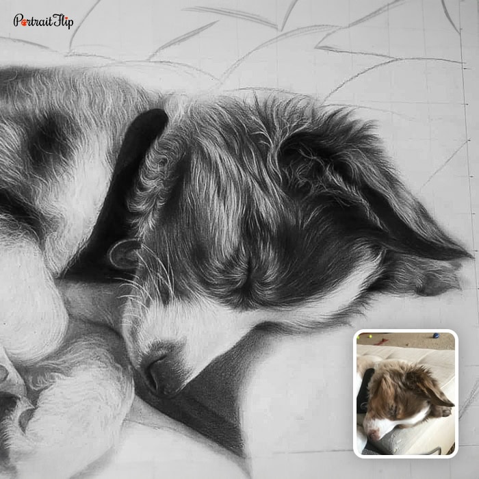 pet pencil artwork