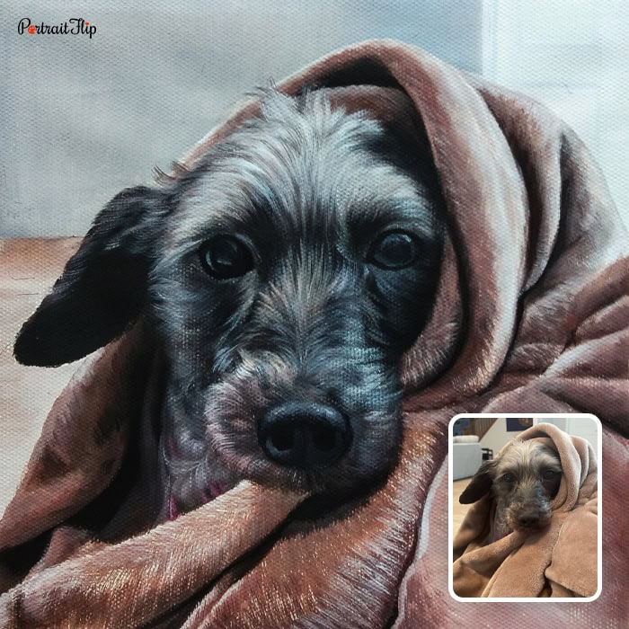 sleeping dog pastel painting