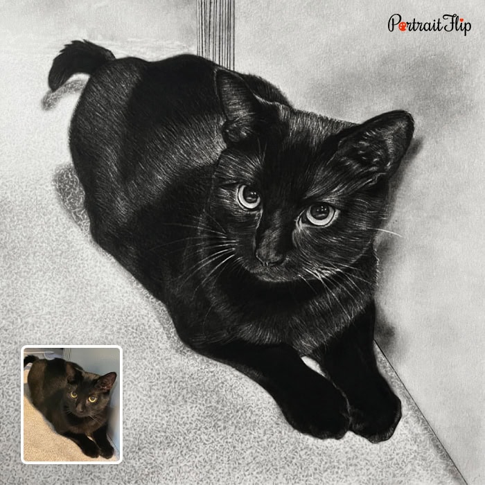 Hand-drawn charcoal portrait of a cat