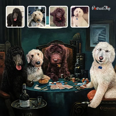 dog playing poker portrait