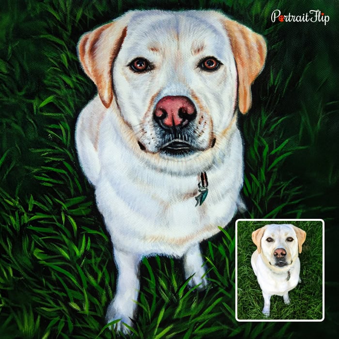 Labrador pastel portrait painted from a photo