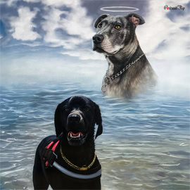 Pet Loss Portraits