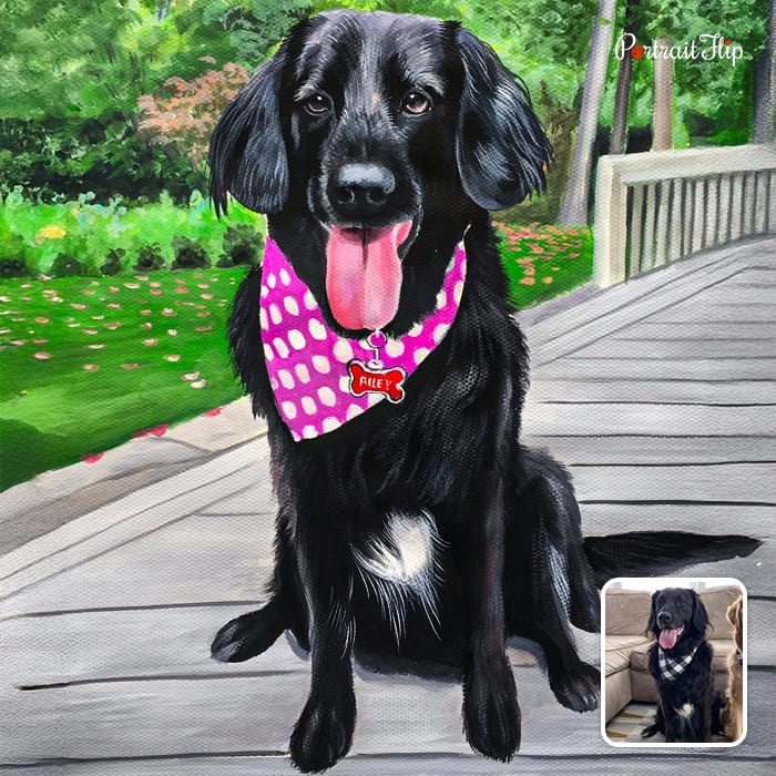 Black labrador pastel painting from photo