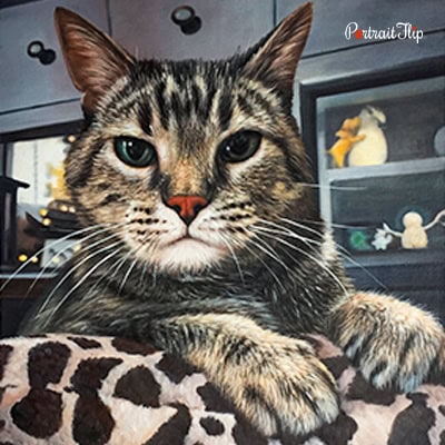 Cat Oil Paintings