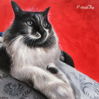 Cat Pastel Paintings