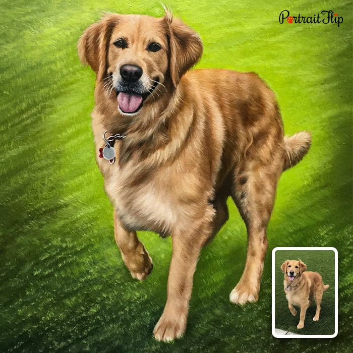 Golden retriever running acrylic dog portrait from photo