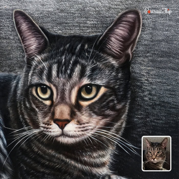 Grey tabby cat custom acrylic painting from photo