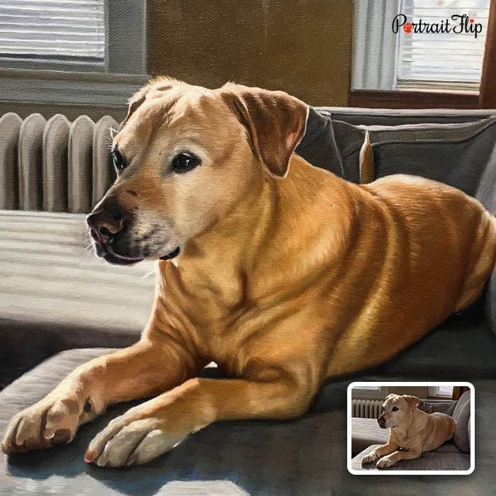 Labrador acrylic dog portrait from photo
