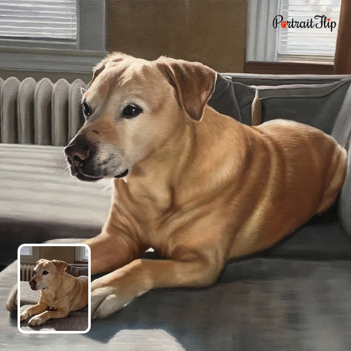 Labrador on couch pet memorial acrylic painting from photo