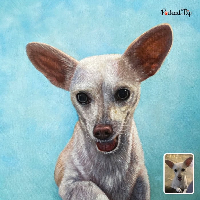 Oil painting of a Chihuahua portrait on blue background