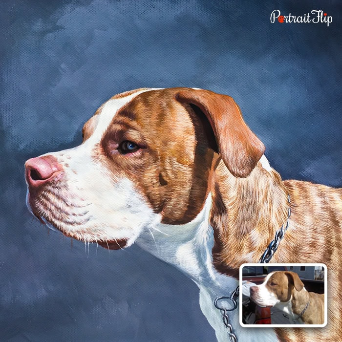 Pitbull custom dog watercolor painting from photo