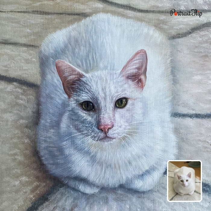 White cat custom acrylic painting from photo